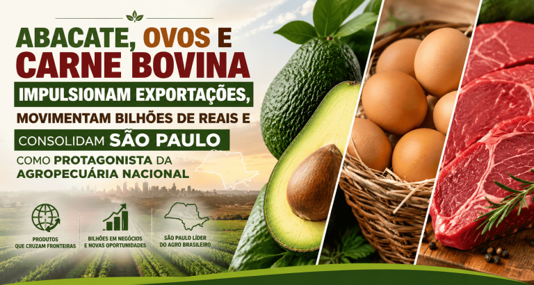 Três regiões paulistas mostram a força do agro que alimenta...