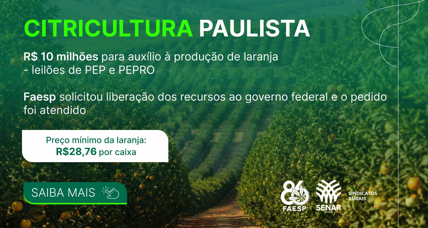 Governo federal autoriza R$ 10 milhões em subvenção econômica para a safra 2026/2027, com preço mínimo de R$ 28,76 por caixa