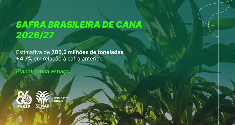 Cana ganha força na safra 2026/27 e etanol amplia espaço 