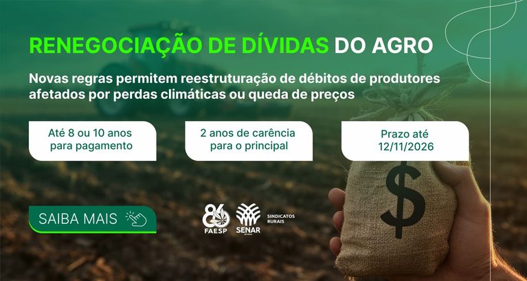 Renegociação de dívidas do agro: entenda as regras da MP 1.3...