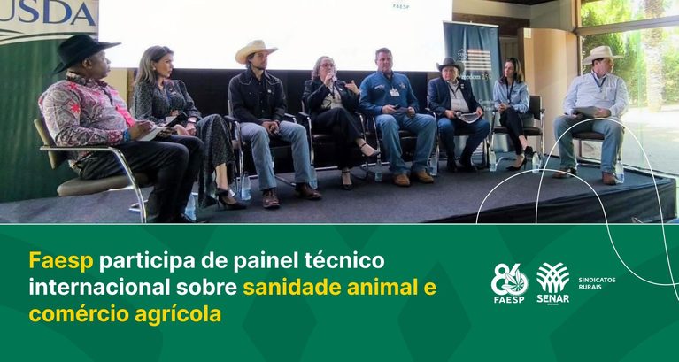 Faesp participa de painel técnico internacional sobre sanida...
