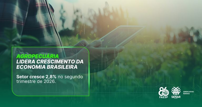 Agropecuária lidera crescimento da economia brasileira no se...
