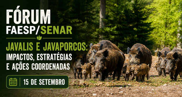 Faesp debate avanço dos javalis e riscos para o agro