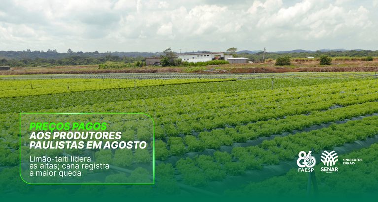 Limão-taiti lidera alta nos preços pagos ao produtor paulist...