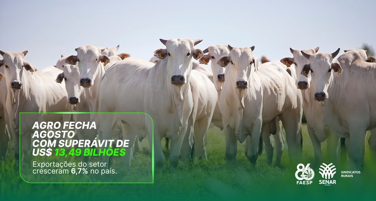 Agronegócio brasileiro registra superávit de US$ 13,49 bilhõ...