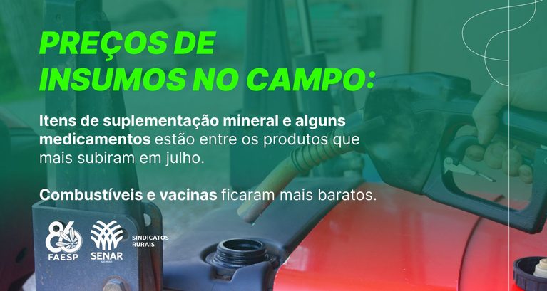 Medicamentos e suplementos valorizaram em julho, enquanto co...