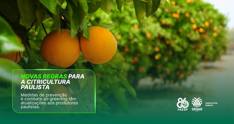 Medidas de prevenção e combate ao greening têm atualizações...