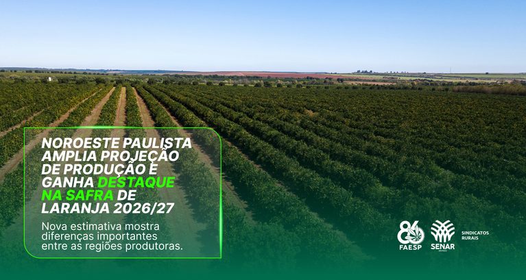 Noroeste paulista amplia projeção de produção de citros e ga...