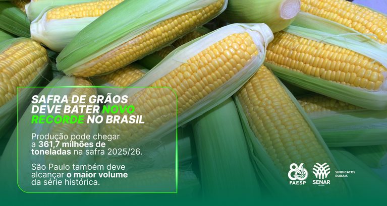 Safra de grãos brasileira deve atingir o recorde de 361,7 mi...