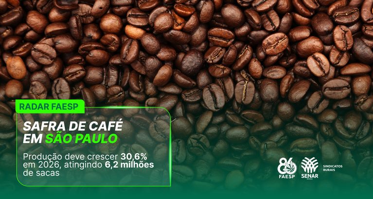 Safra de café em São Paulo deve crescer 30,6% em 2026, ating...